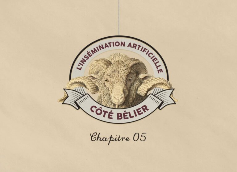 La Guerre des Moutons